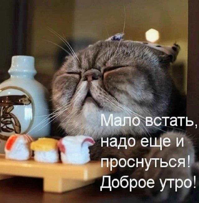 Картинки и мемы для настроения - 15