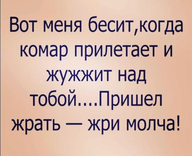 Так себе картинки 17.07.22