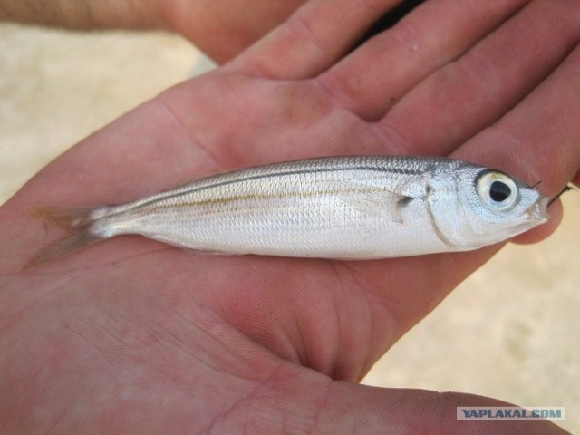 Путешествие Геленджик-Турция