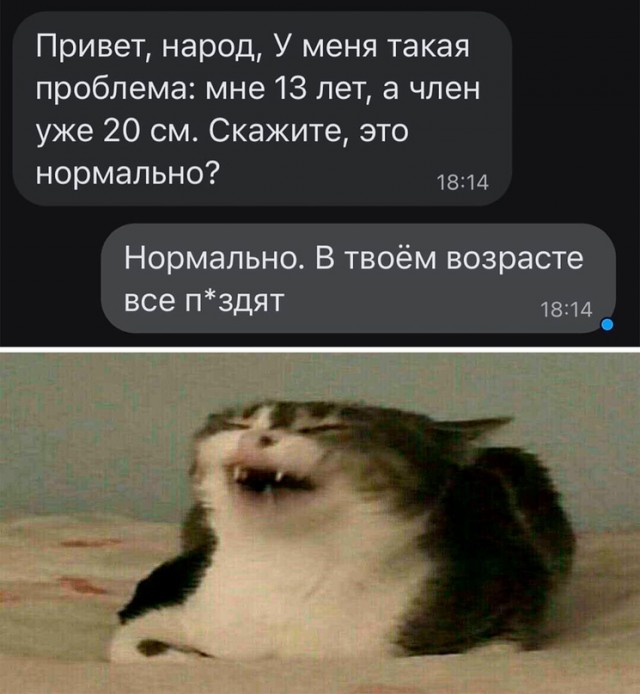 Картинки и мемы для настроения - 119