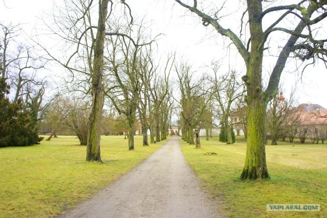 Автотур "Опять несет куда глаза глядятъ"