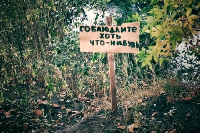 Прикольные и просто красивые картинки 13.12.2022