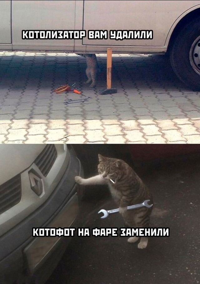 Картинки на пятницу