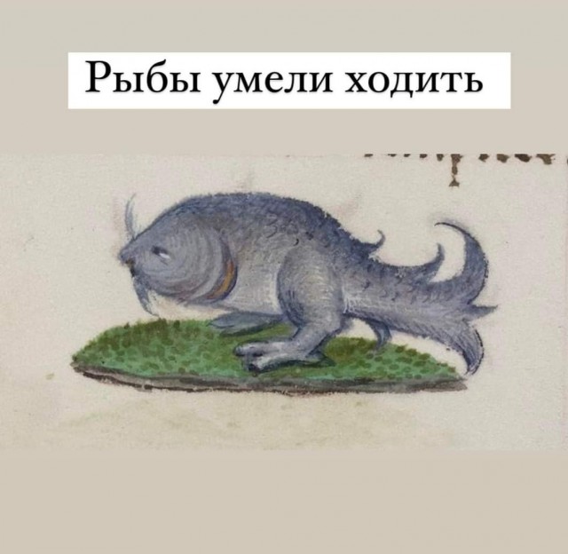 Факты из средневековья
