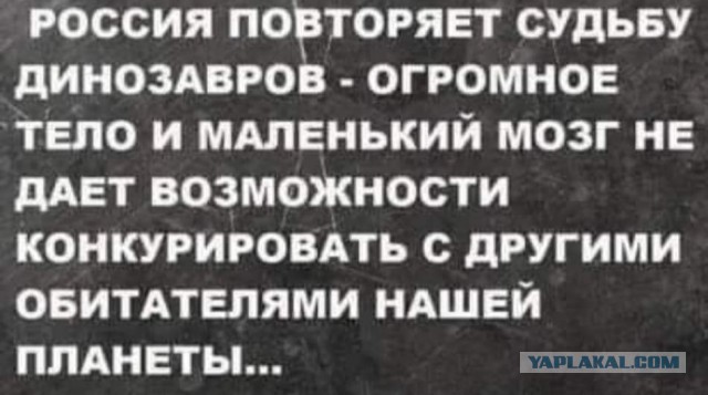 Международный уголовный суд в Гааге выдал ордер на арест Владимира Путина и Львовой-Беловой