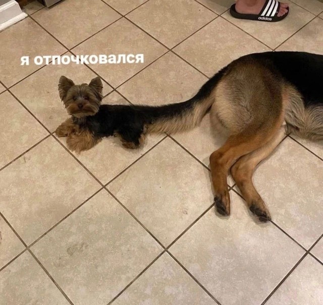 Подборка картинок