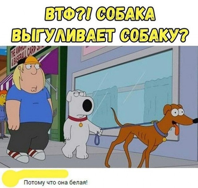 Картинки и мемы для настроения - 181