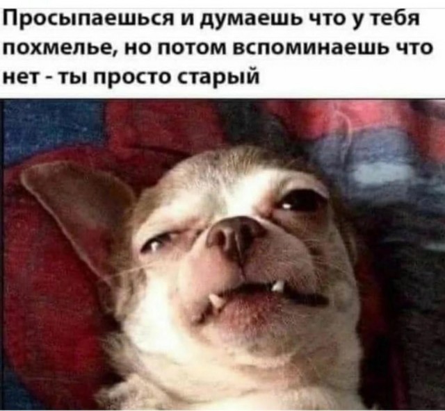 Забавные картинки, шутки из этих ваших интернетов