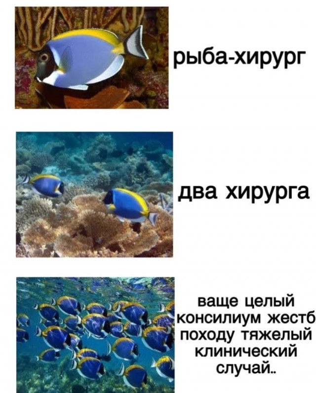 Так себе картинки 17.08.23