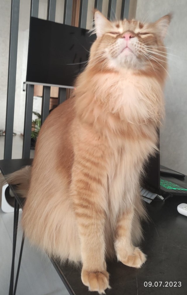 Сказка