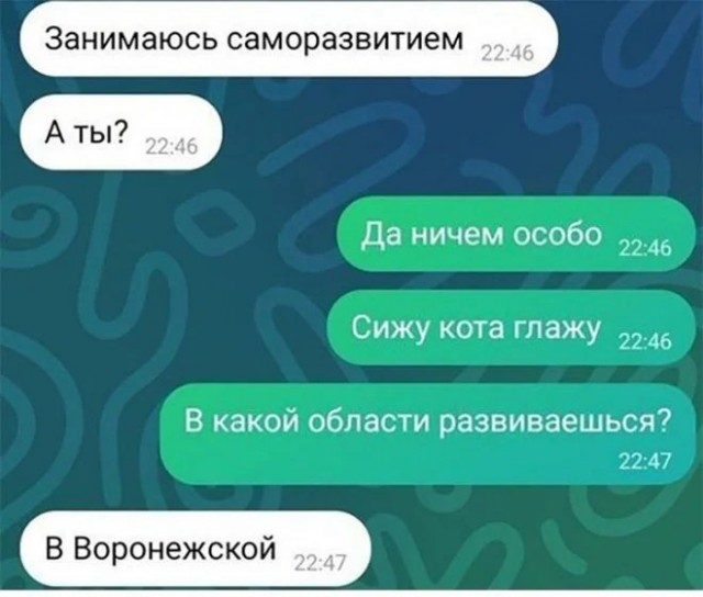 18485485.jpg