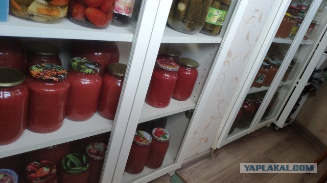 Учёные: Томатный сок снижает уровень холестерина, а также нормализует давление