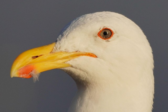 Подборка интересных и веселых картинок 12.02.24