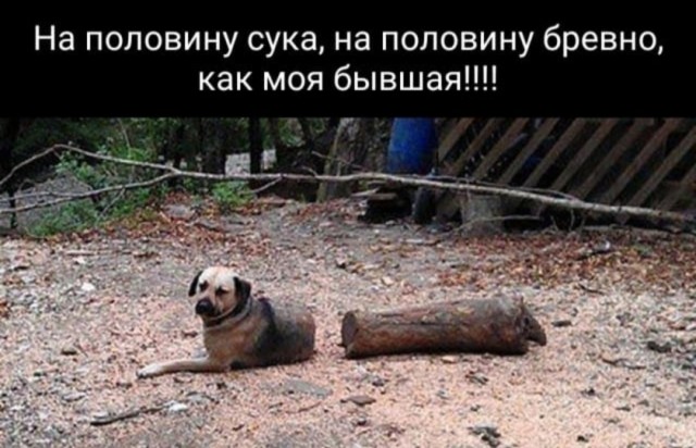 Сначала женись