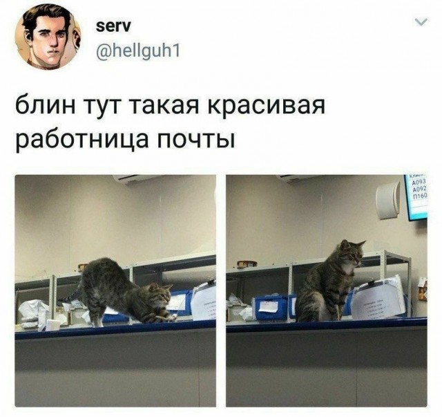 Так себе картинки 29.03.24