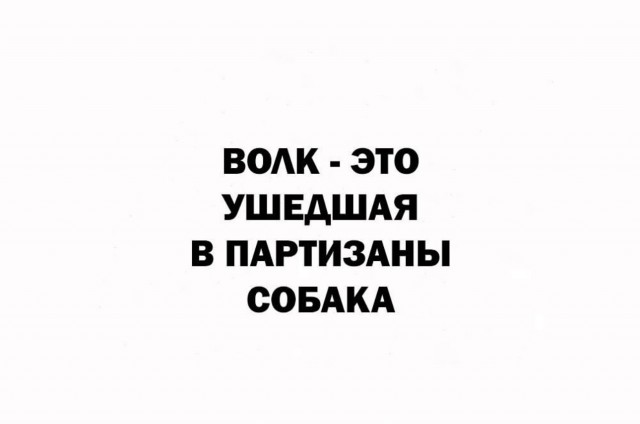 Никакие картинки и такие же тексты