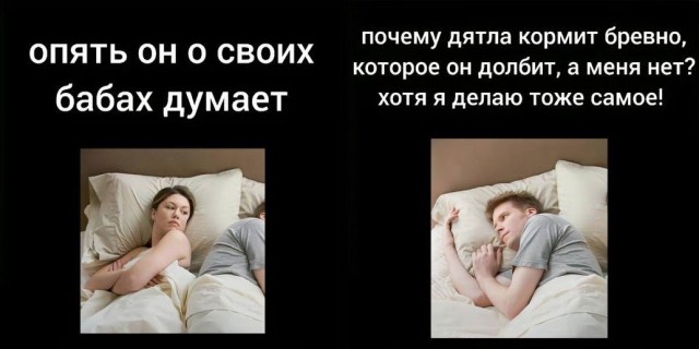 Немного мемчиков. Для взрослых. Часть 36