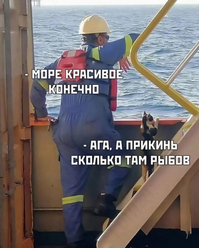 Веселые картинки (02.07)