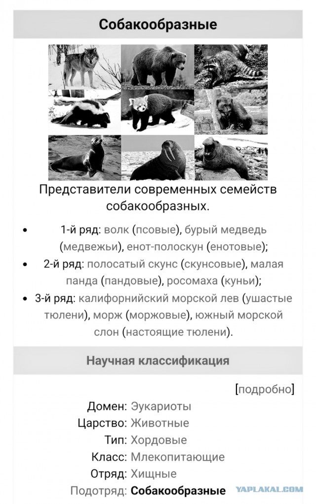 Ничего милее вы сегодня уже не увидите