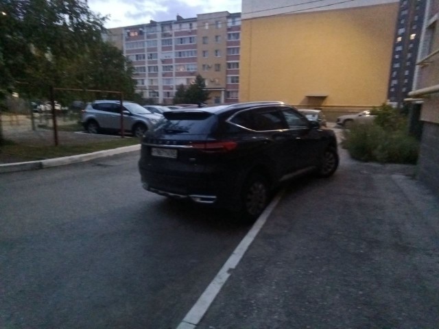 Ушлёпок натуральный