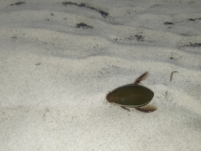 Осень на озёрах 2