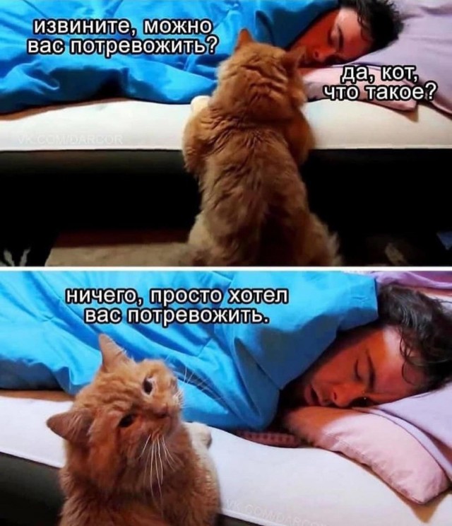 Завалялось тут случайно немного забавных картинок
