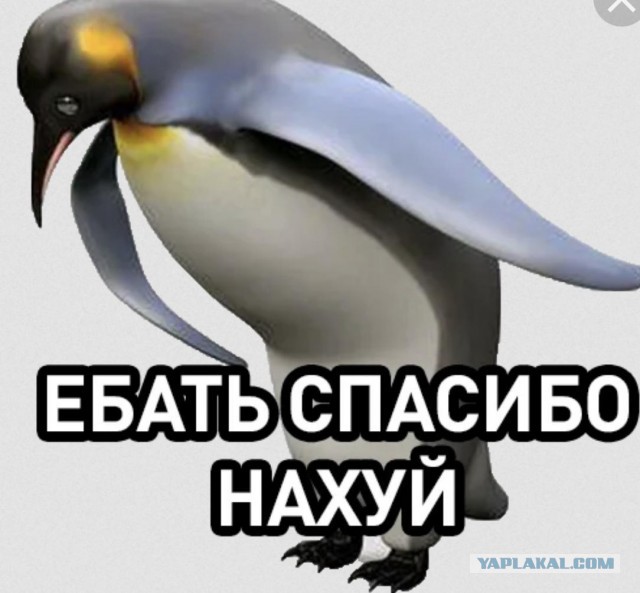 В России анонсирован запуск новой модели оплаты труда бюджетников