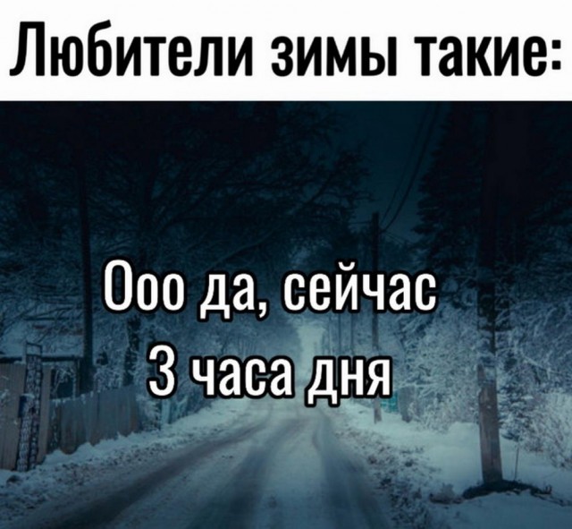 Всего понемногу. От 21.11.2024.
