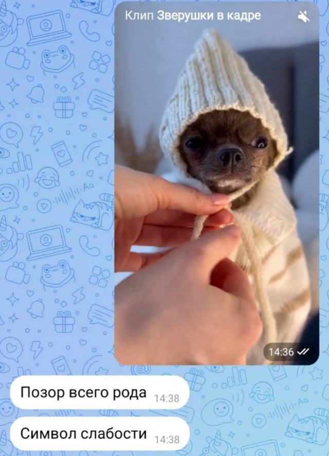 Всего понемногу. От 04.12.2024