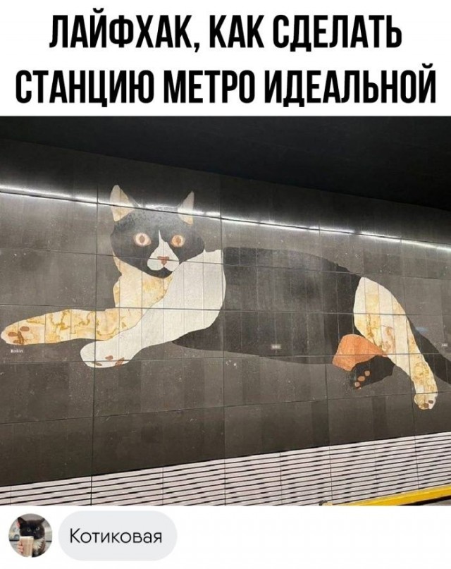 Картинки и буквы 06.12.24