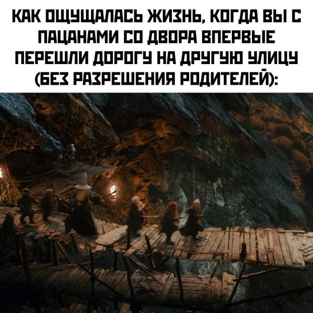 Весёлый полтишок 08.01.25