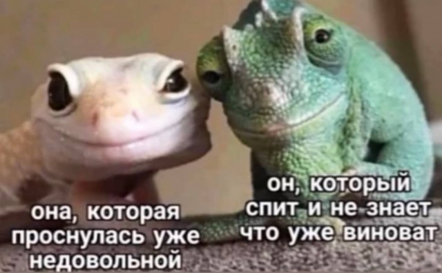 Всего понемногу. От 22.01.2025