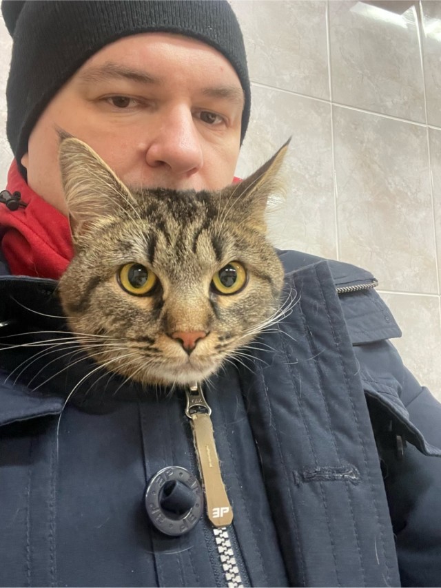 Прошу о помощи с кошкой в Москве!