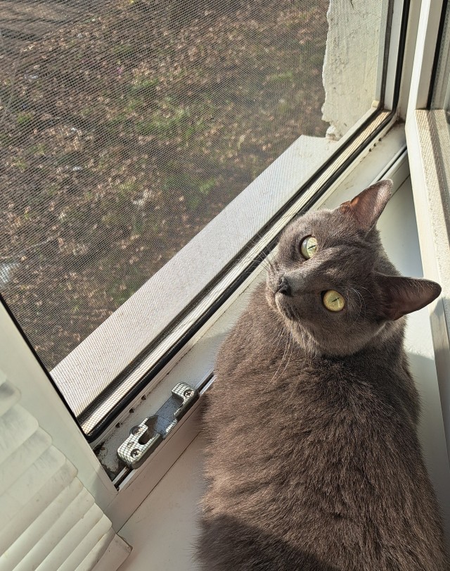 Запахло весной.