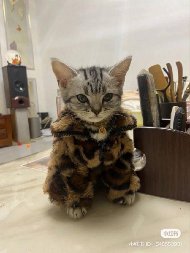 Хотели настоящую Белоснежку?