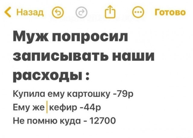 Весёлый полтишок 24.04.25