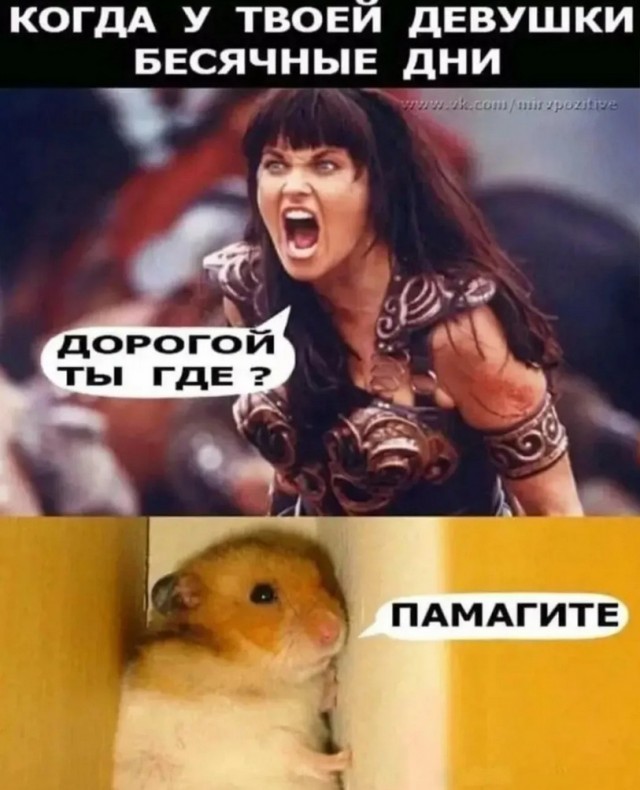 Завалялось тут случайно немного забавных картинок