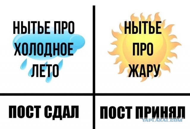 Как спасаетесь от жары?