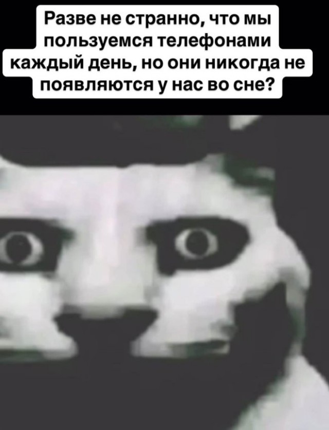 Веселые картинки в пятницу (11.07)