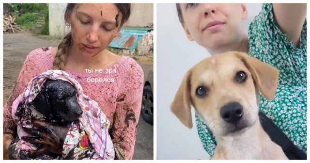 Девушка из Краснодарского края полезла в яму с мазутом, чтобы спасти щенка