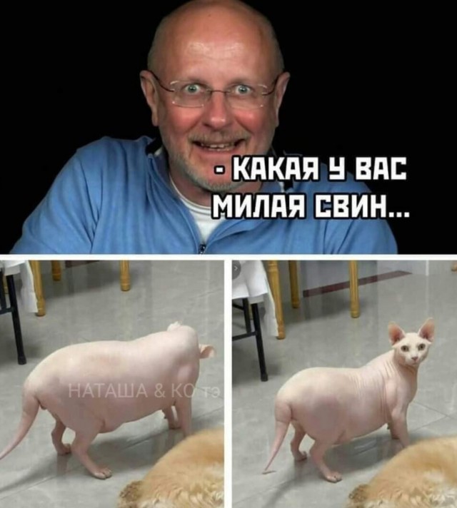 Маленькая пятница 11.11