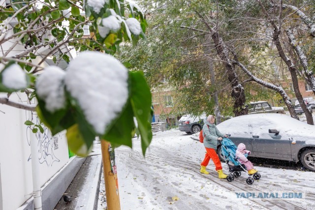 Долгая осень. Когда Зима?