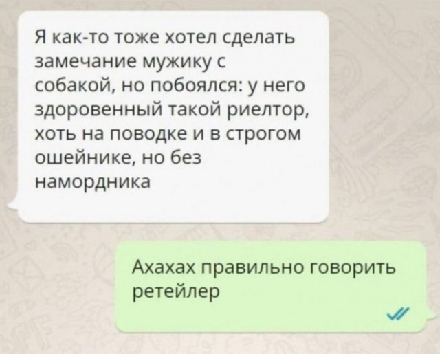 Веселое настроение в картинках (02.12.2025)
