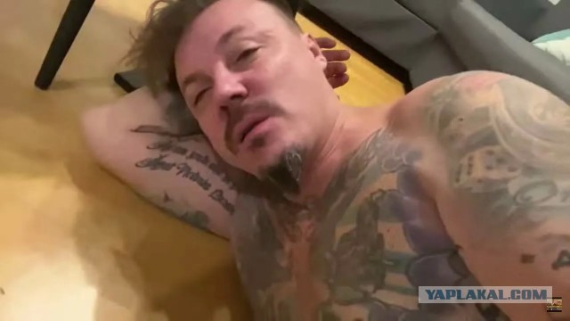 Сомы-людоеды: Бывает ли такое или это байки весёлых рыбаков?