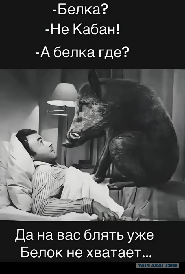 Алкозапасы на Новый Год