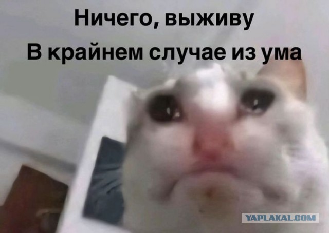 Минтруд исключил новый пересмотр пенсионного возраста из-за дефицита кадров