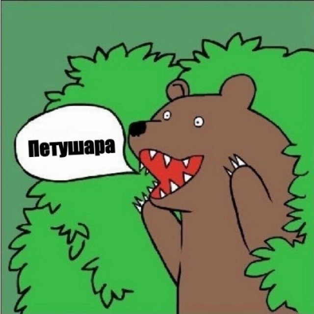 Свело судорогой ногу ночью. Что делать?