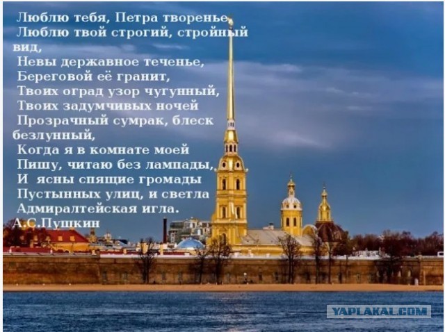 Петербуржец оскорбил мусульман и бросил в них бутылку. Теперь его ждет психдиспансер
