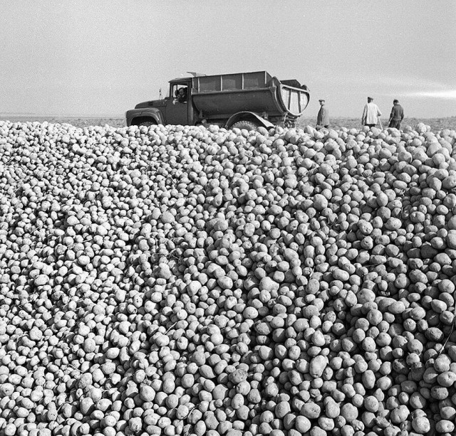 Фотографии из прошлого нашей страны – 147