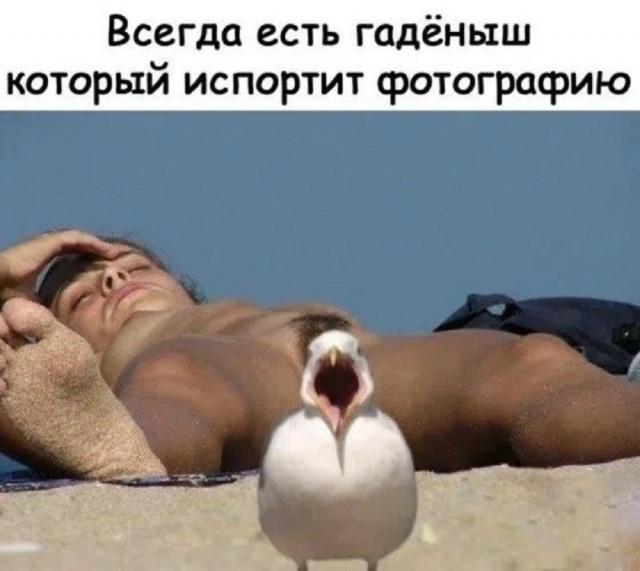 Так себе картинки 16.07.26